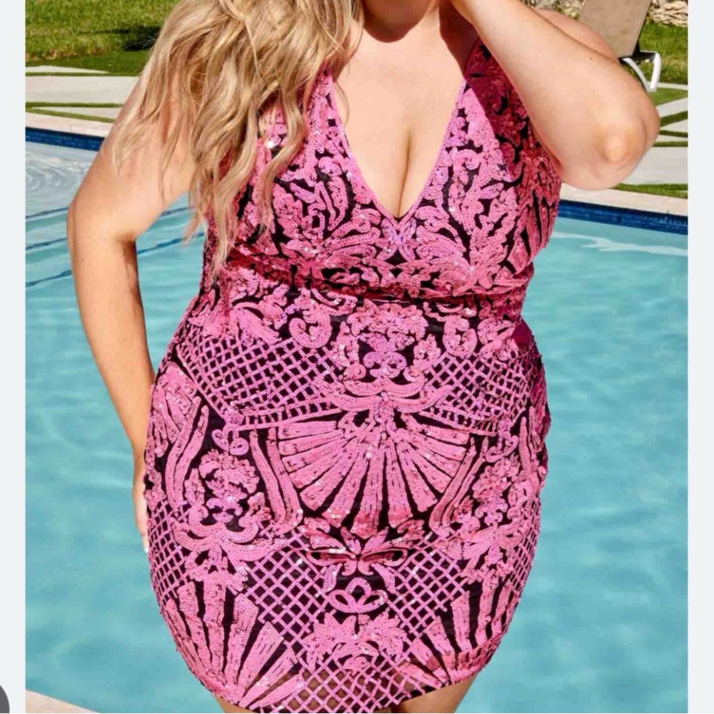 Primavera Couture Pink Embroidered Lace Sheath Dress